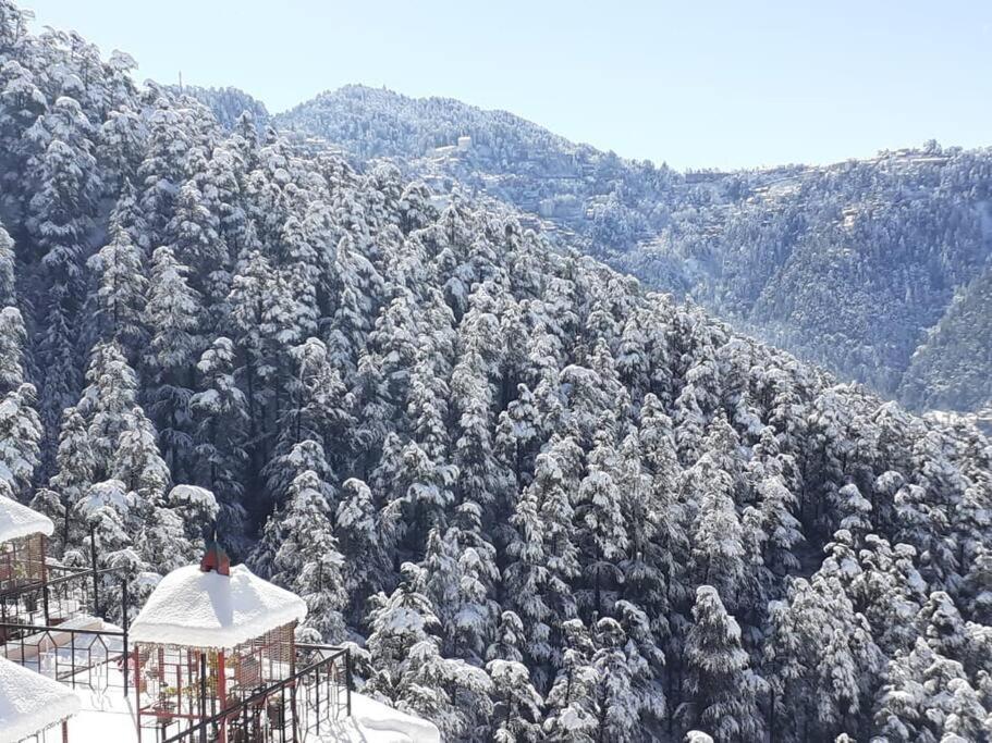 Residence Inn Homestay Shimla Eksteriør billede